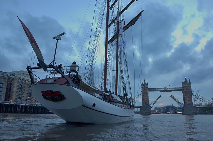 Tolkien: London 2012 Olympia